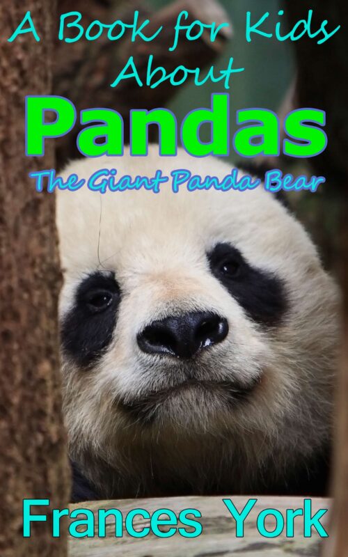 A Book For Kids About Pandas:  The Giant Panda Bear